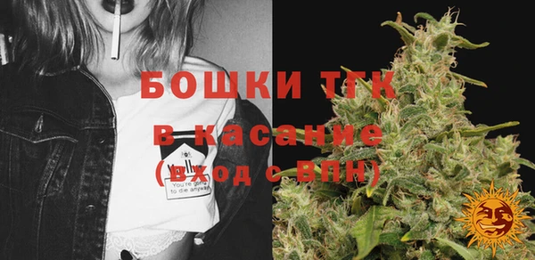 МДПВ Алексин