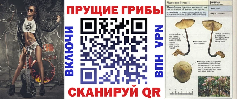 Галлюциногенные грибы ЛСД  наркотики  Кадников 